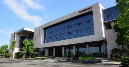 自爆違約擔(dān)保,加加食品的風(fēng)雨飄搖緣起何處