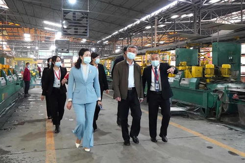 中國建筑衛(wèi)生陶瓷協(xié)會(huì)會(huì)長繆斌一行蒞臨方向企業(yè)參觀交流